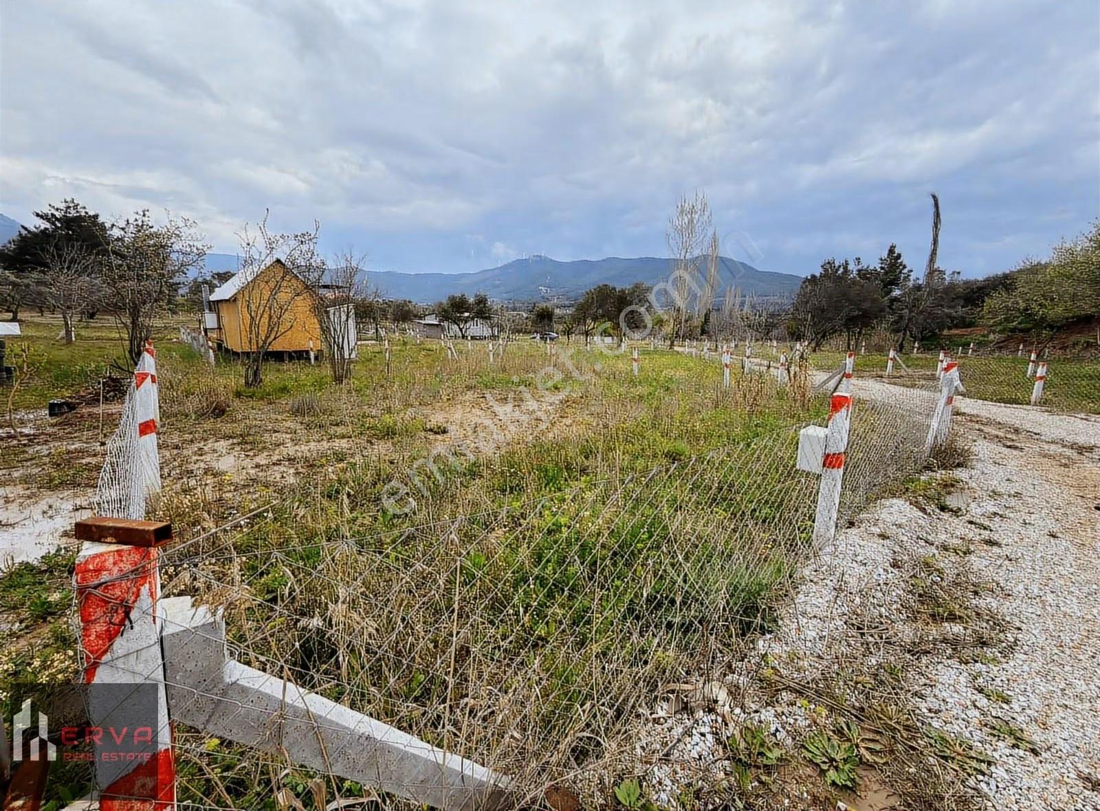 Kemalpaşa Dereköy Satılık Paylı Mülkiyet 290m2 Tarla - Görsel 15