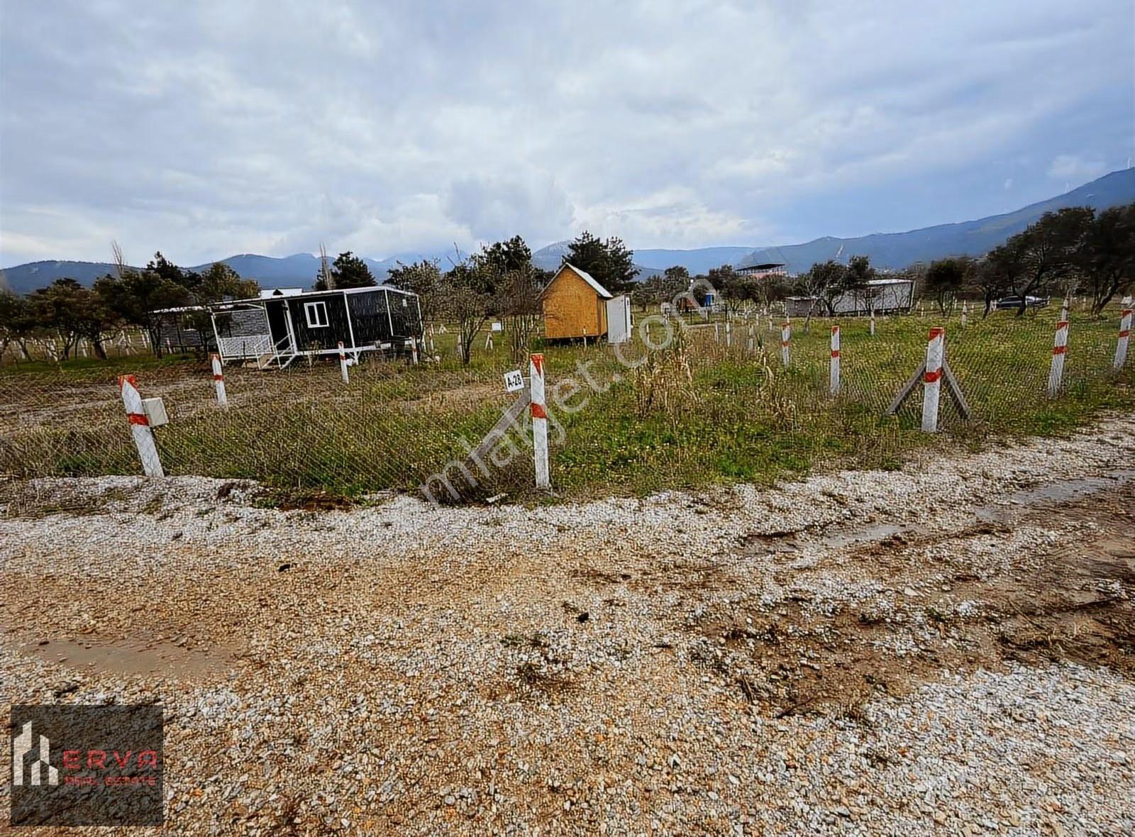 Kemalpaşa Dereköy Satılık Paylı Mülkiyet 290m2 Tarla - Görsel 11