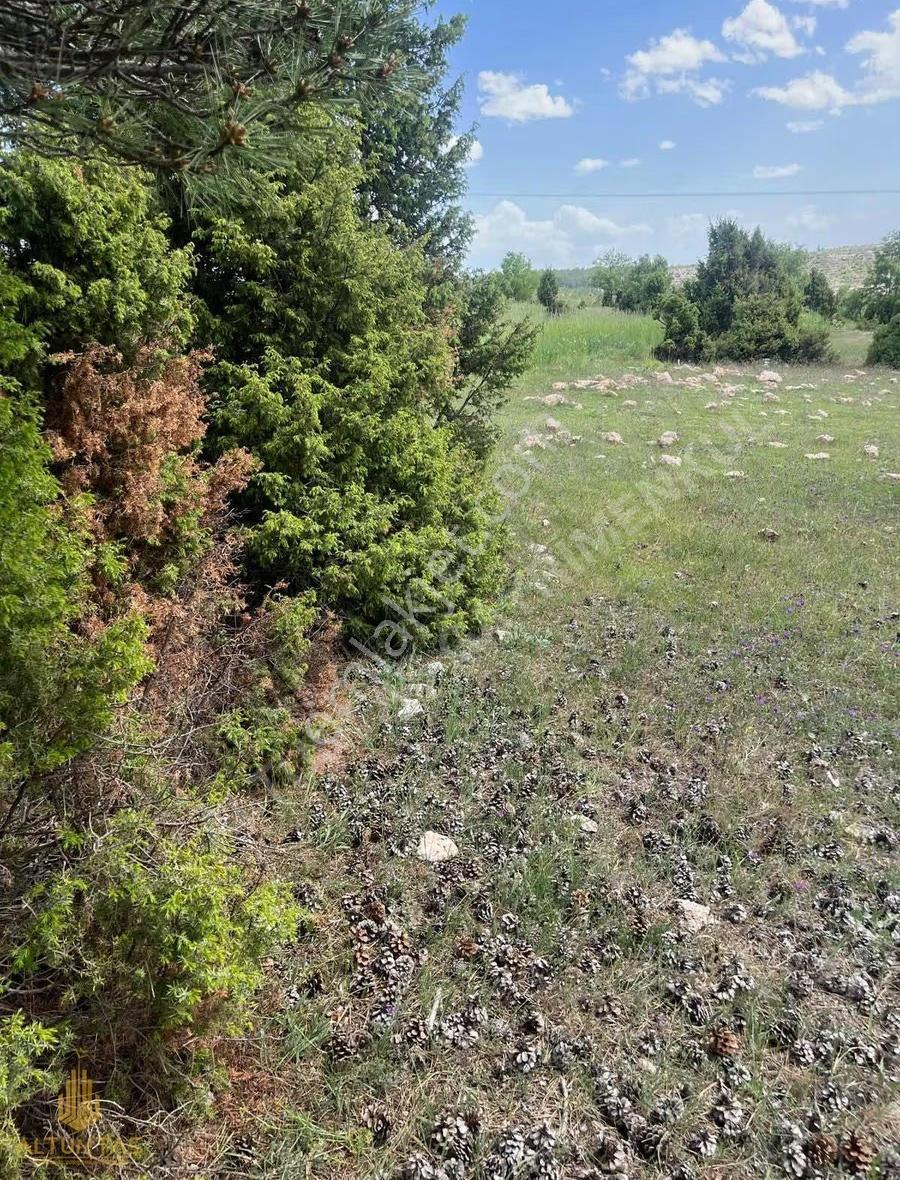 Çavdarhisarda Geleceğe Kazandıran Tarla - Görsel 3