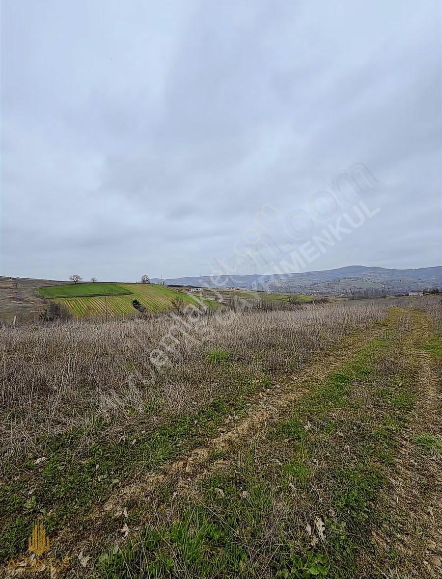 Kandıra Kocakaymazda Yatırımlık 600 M² Tarla %5 İmarlı - Görsel 12