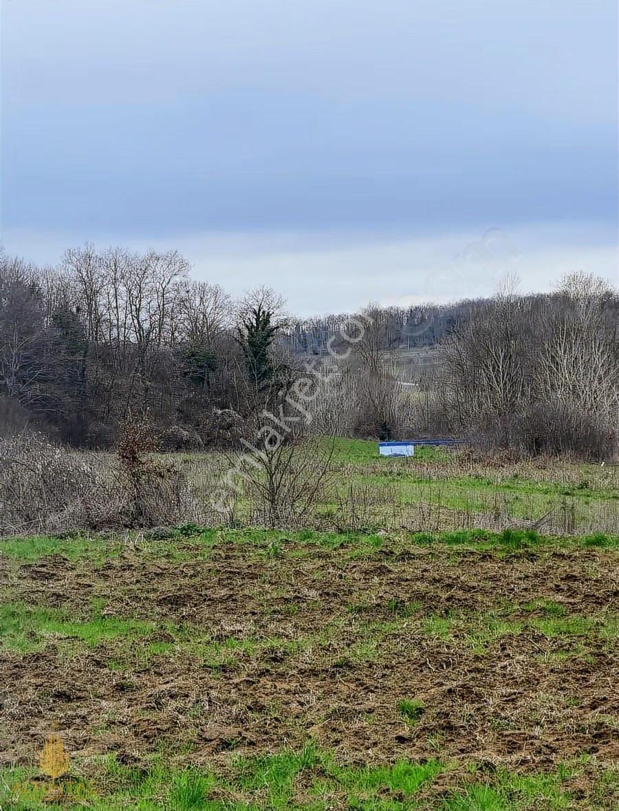 İzmit Çavuşoğlunda 1.700 M² 2 Parsel Büyük Yatırım Fırsatı! - Görsel 12
