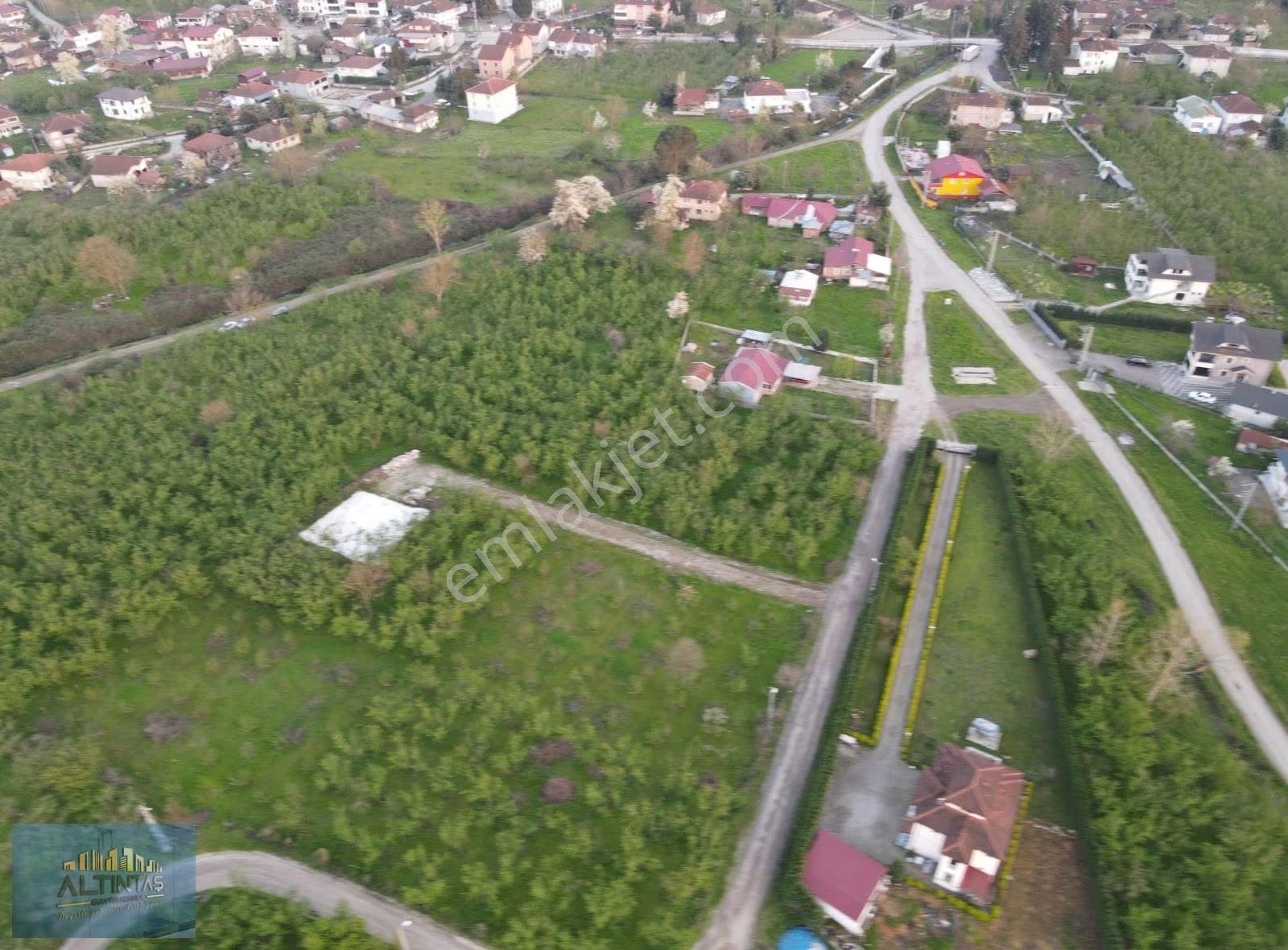Altındere Cumhuriyet Mh İmarlı Arsa