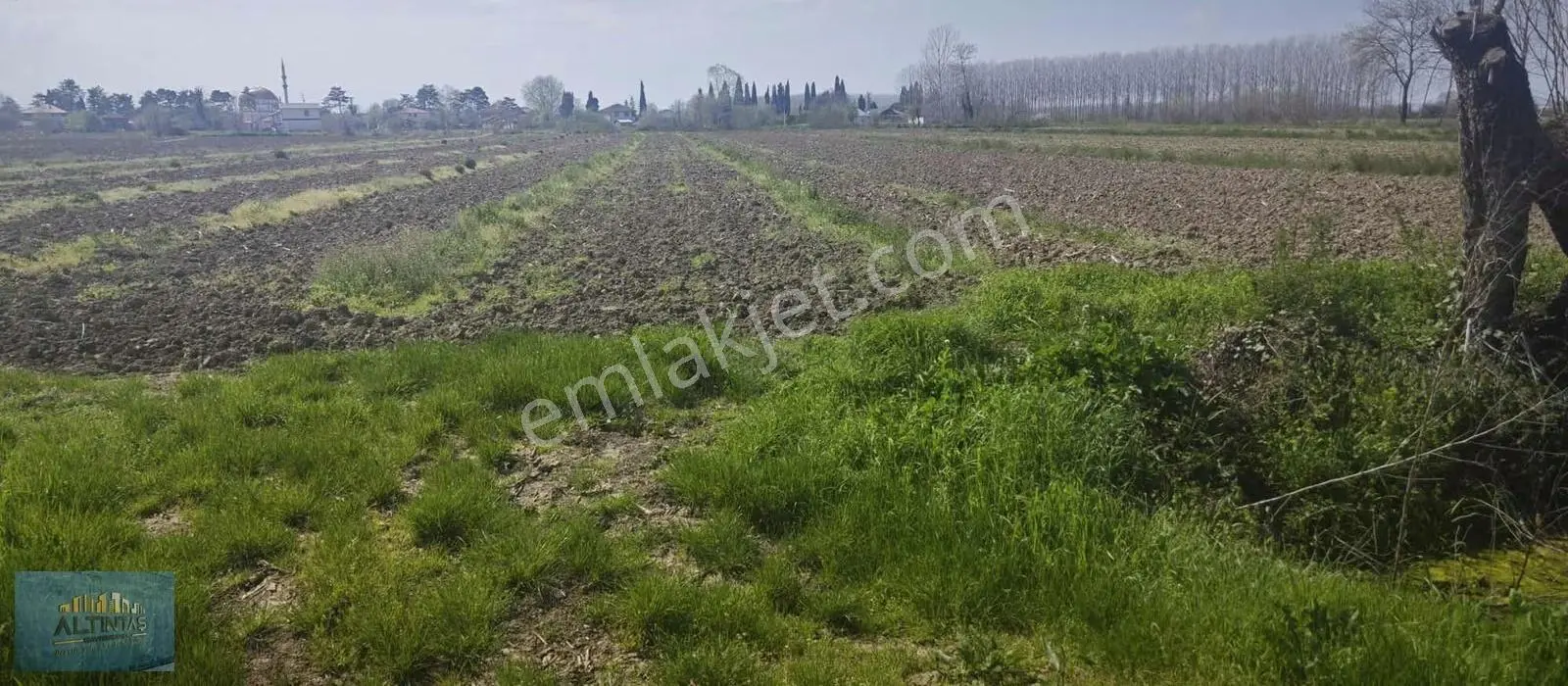 Uzun Çınar'da Yerleşim Yerine Yakın Satılık Tarla