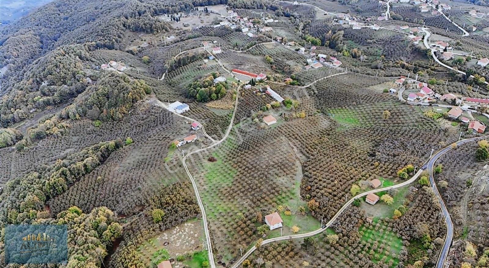Akyazı Yörükyeri İmarlı Ev Fındıklık Arsa - Görsel 3