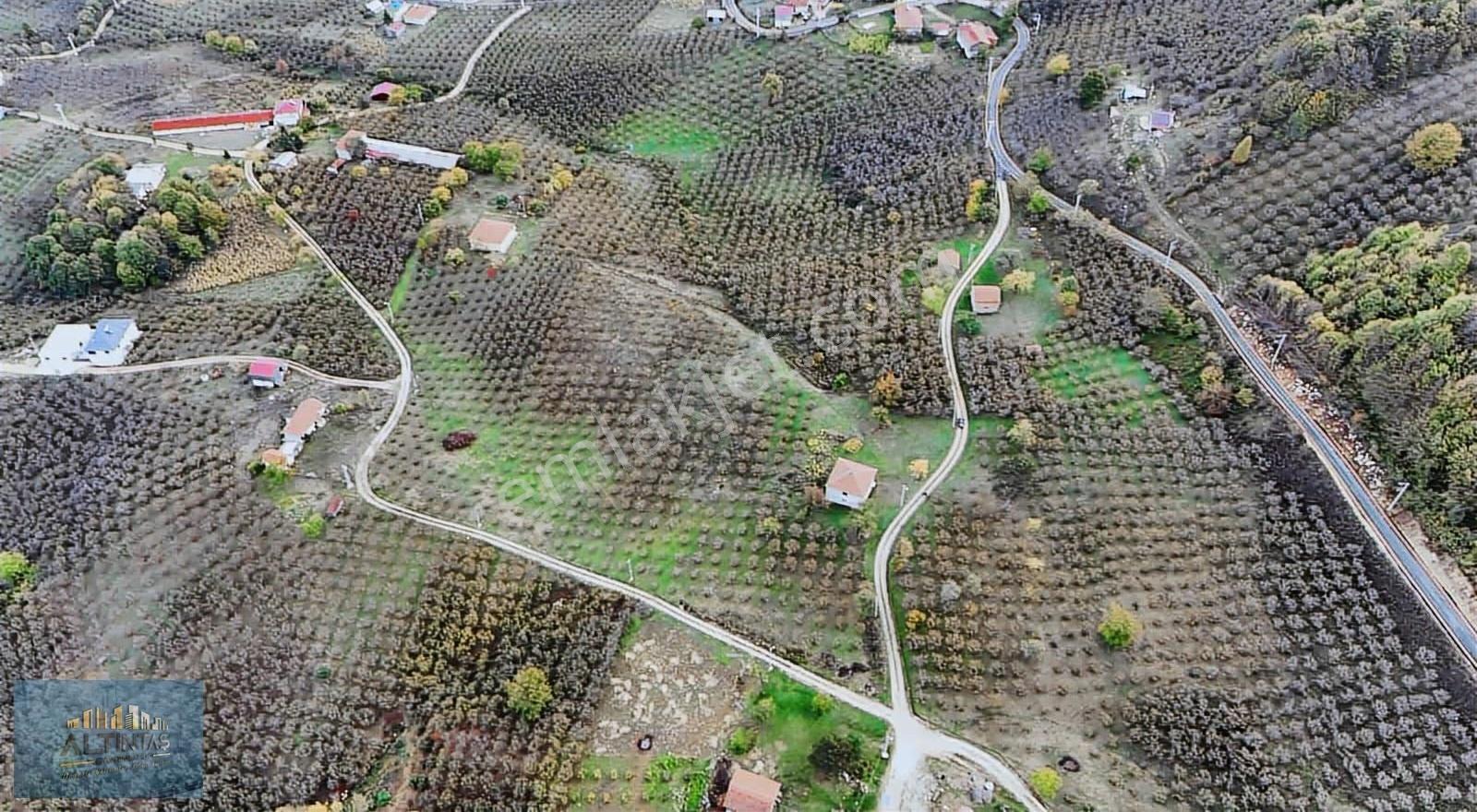 Akyazı Yörükyeri İmarlı Ev Fındıklık Arsa - Görsel 4