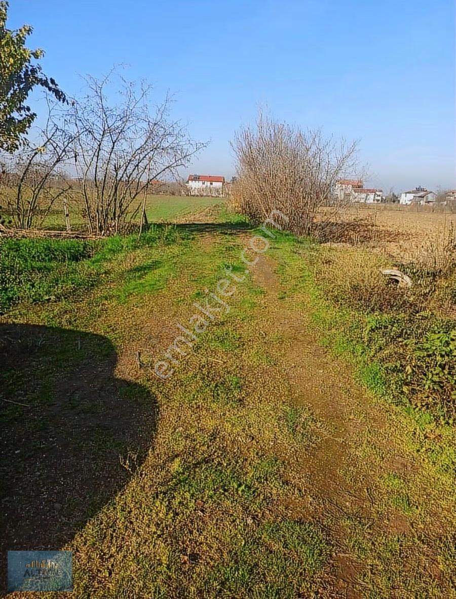 Akyazı Harunusta Satılık Tarla - Görsel 11