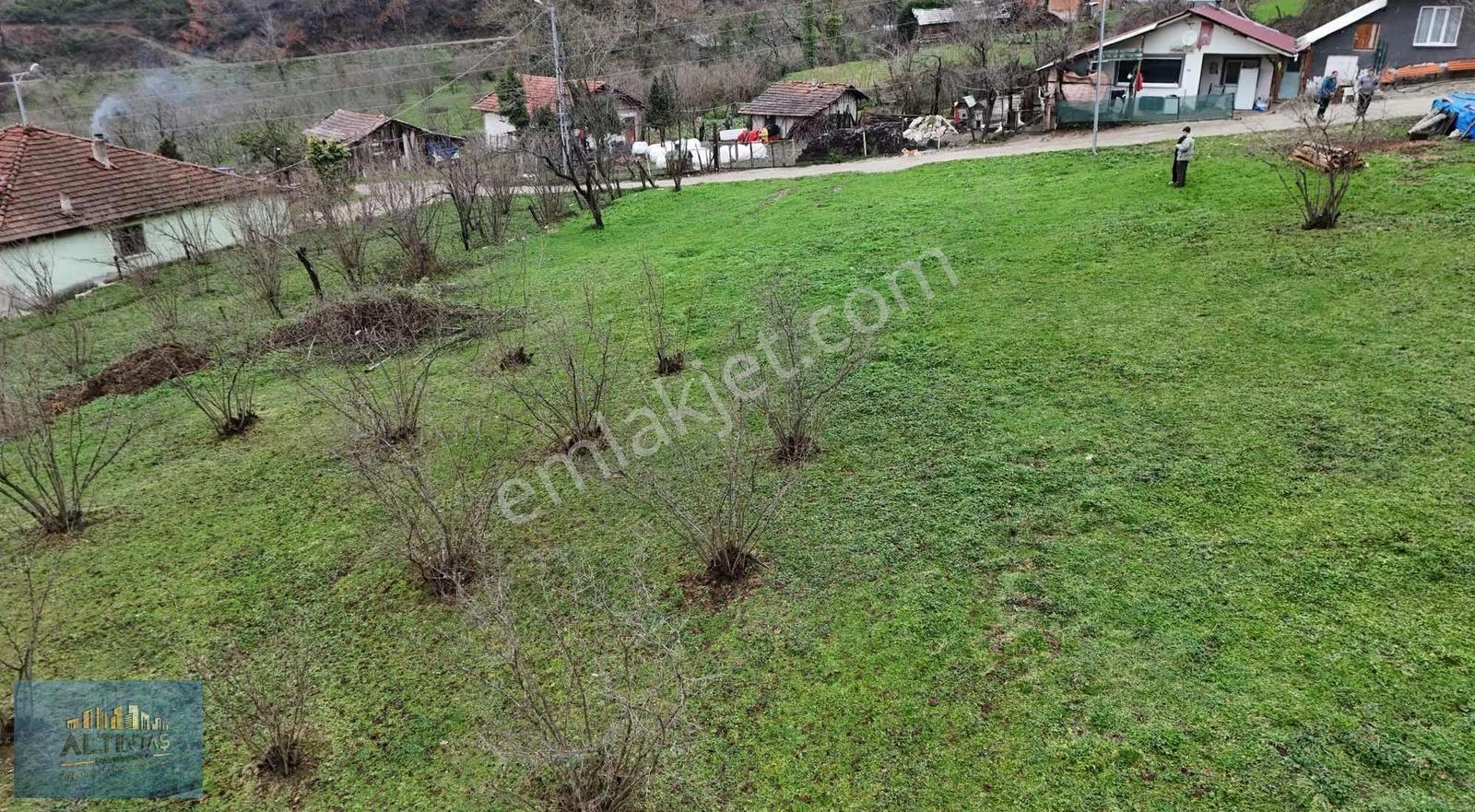 Gökçelerde % 40 Köy İçi İmarlı 1.466 M2 Satılık Arsa
