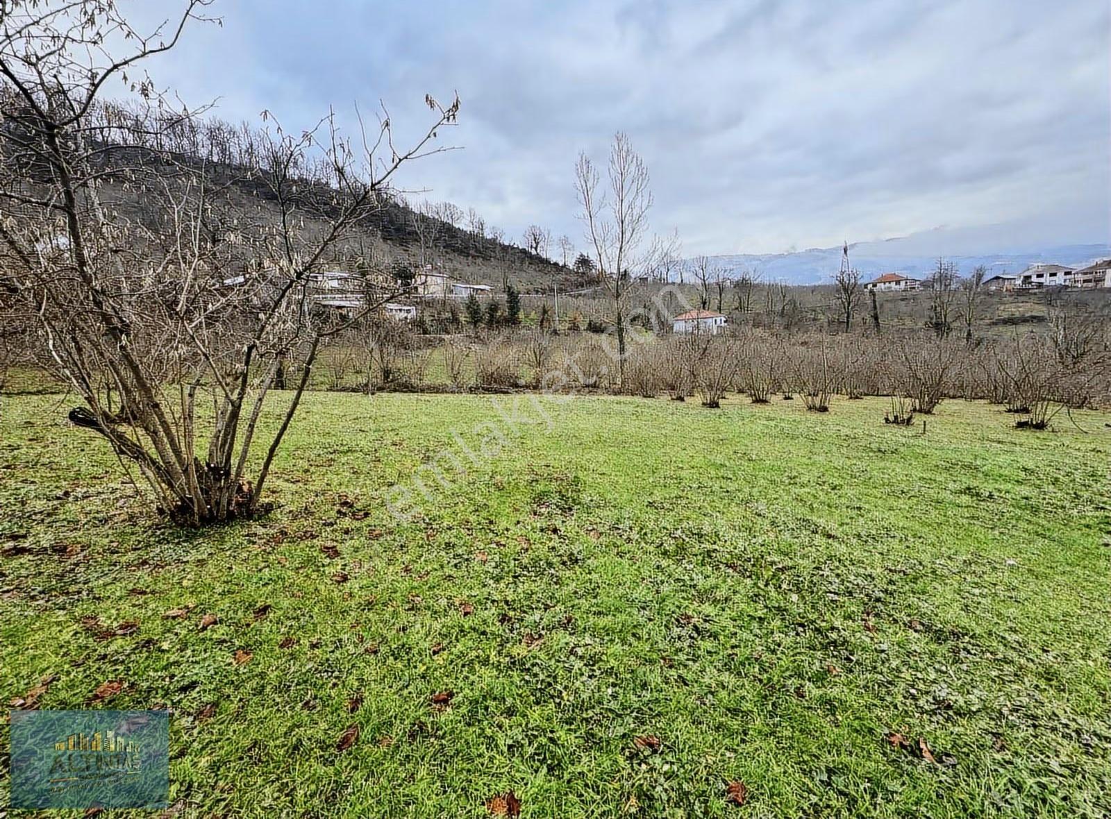 Gökçelerde % 40 Köy İçi İmarlı 1.466 M2 Satılık Arsa - Görsel 5