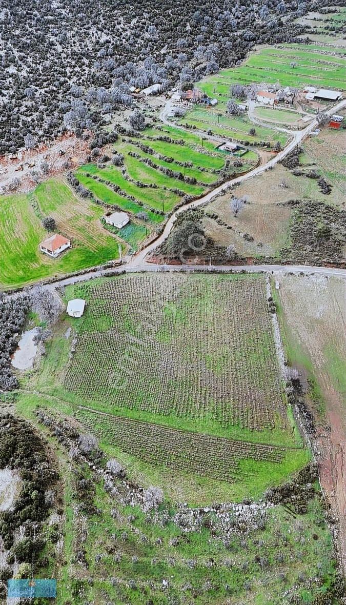 Seydikemer Ortaköy'de Müstakil Tapulu Yatırımlık Fırsat Arazi - Görsel 3