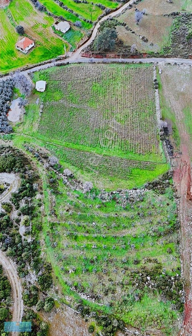 Seydikemer Ortaköy'de Müstakil Tapulu Yatırımlık Fırsat Arazi - Görsel 12