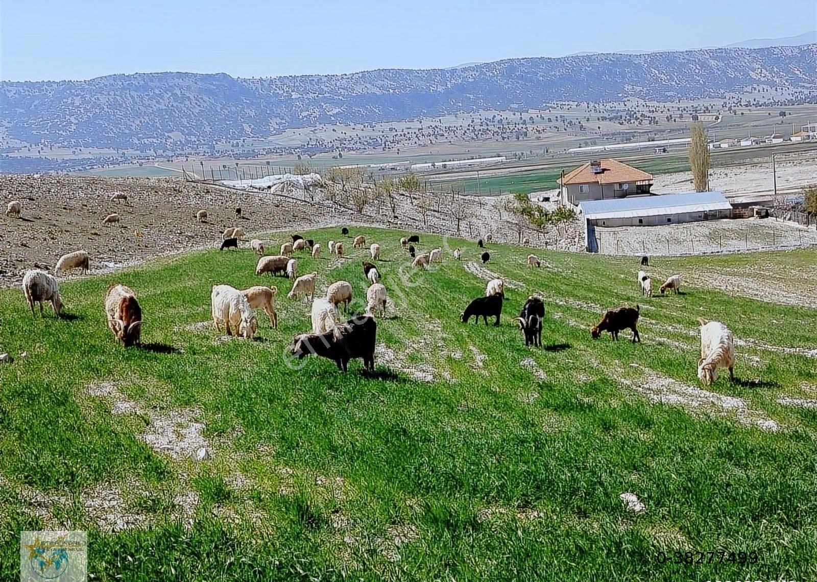 Korkuteli Sımandır Satılık Çiftlik Bölgenin En İyisi