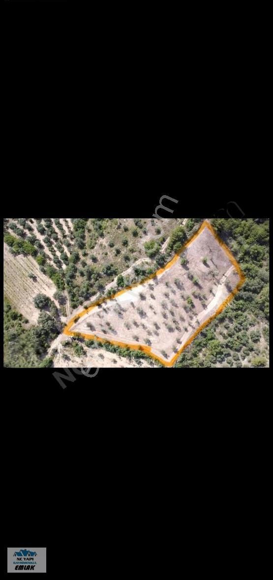 Sakarya Pamukova'da Satılık 5338 M² Müstakil Bağ Arsası - Görsel 2