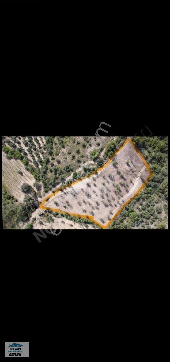 Sakarya Pamukova'da Satılık 5338 M² Müstakil Bağ Arsası - Görsel 3