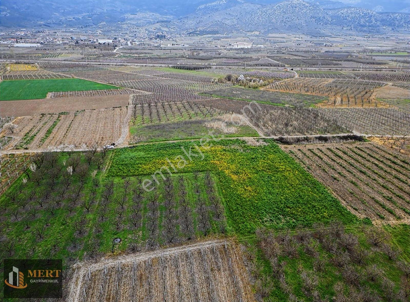 Sakarya Pamukova Hayrettin Köyünde Satılık Tarla - Görsel 2