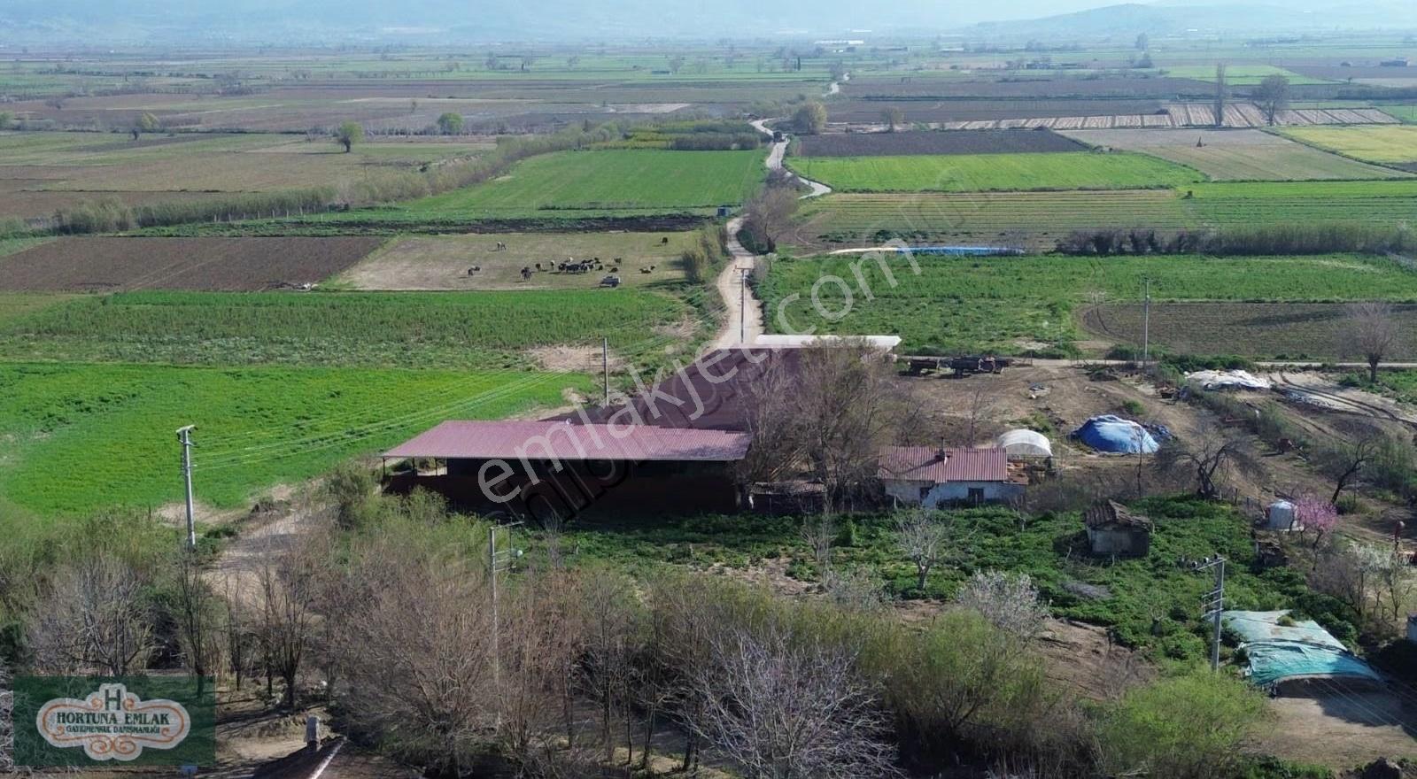 İzmir Bayındır Elifli De 1.288m2 Arsalar Satılık - Görsel 3