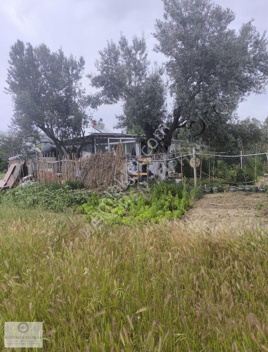 Menemen Haykıranda Bol Komşuları Olan Hobi Bahçesi.. - Görsel 12
