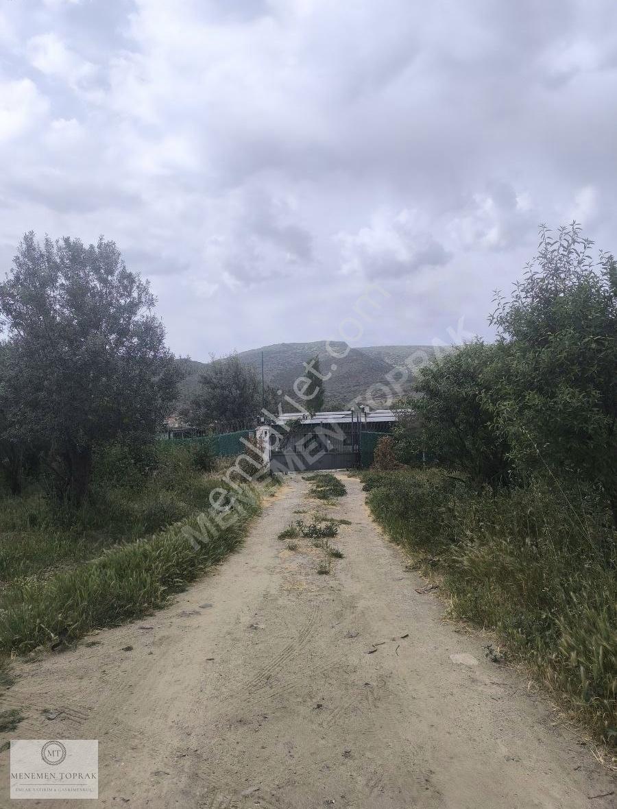Menemen Haykıranda Bol Komşuları Olan Hobi Bahçesi.. - Görsel 23