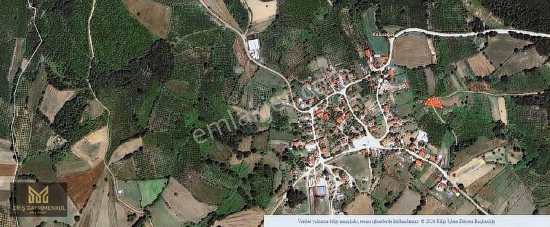 Kandıra Kabaağaç Köyünde % 40 İmarlı Yollu 620 M2 Arsa - Görsel 5