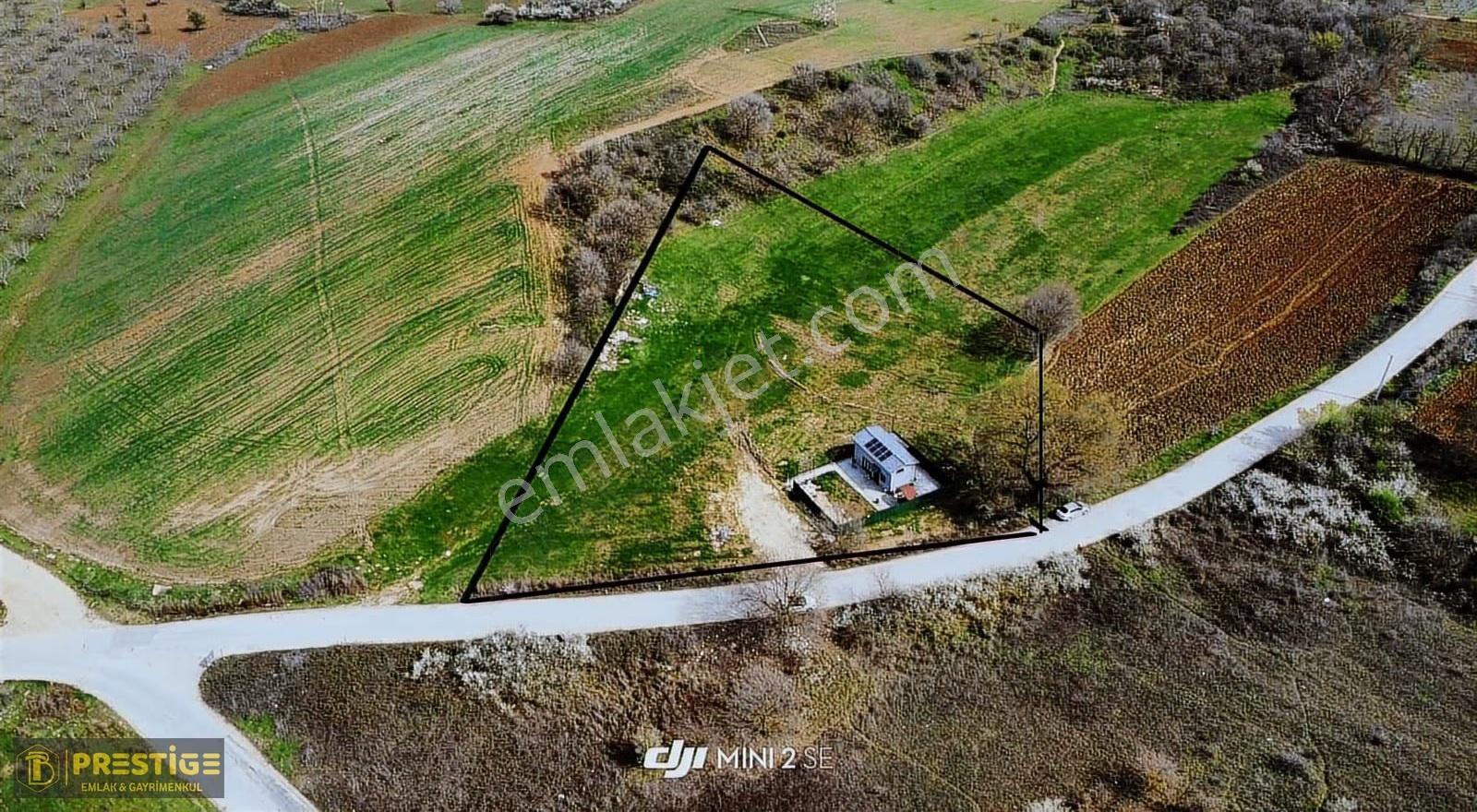 Bt Prestıge'den Fırsat Yola Cephe Elektirk Su Mevcut Tarla