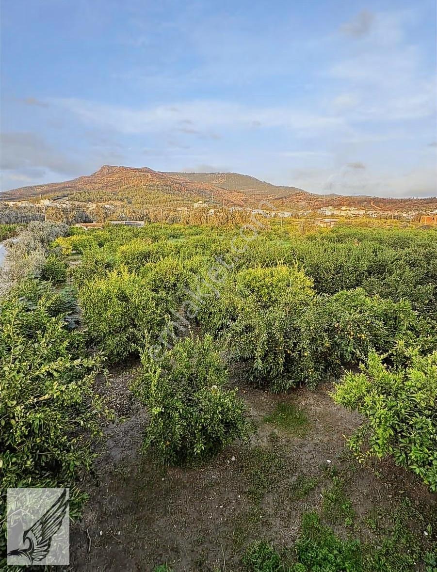 Seferihisar Ürkmez Mersin Alanı Mahallesi 5.608m² Satılık Bahçe - Görsel 14