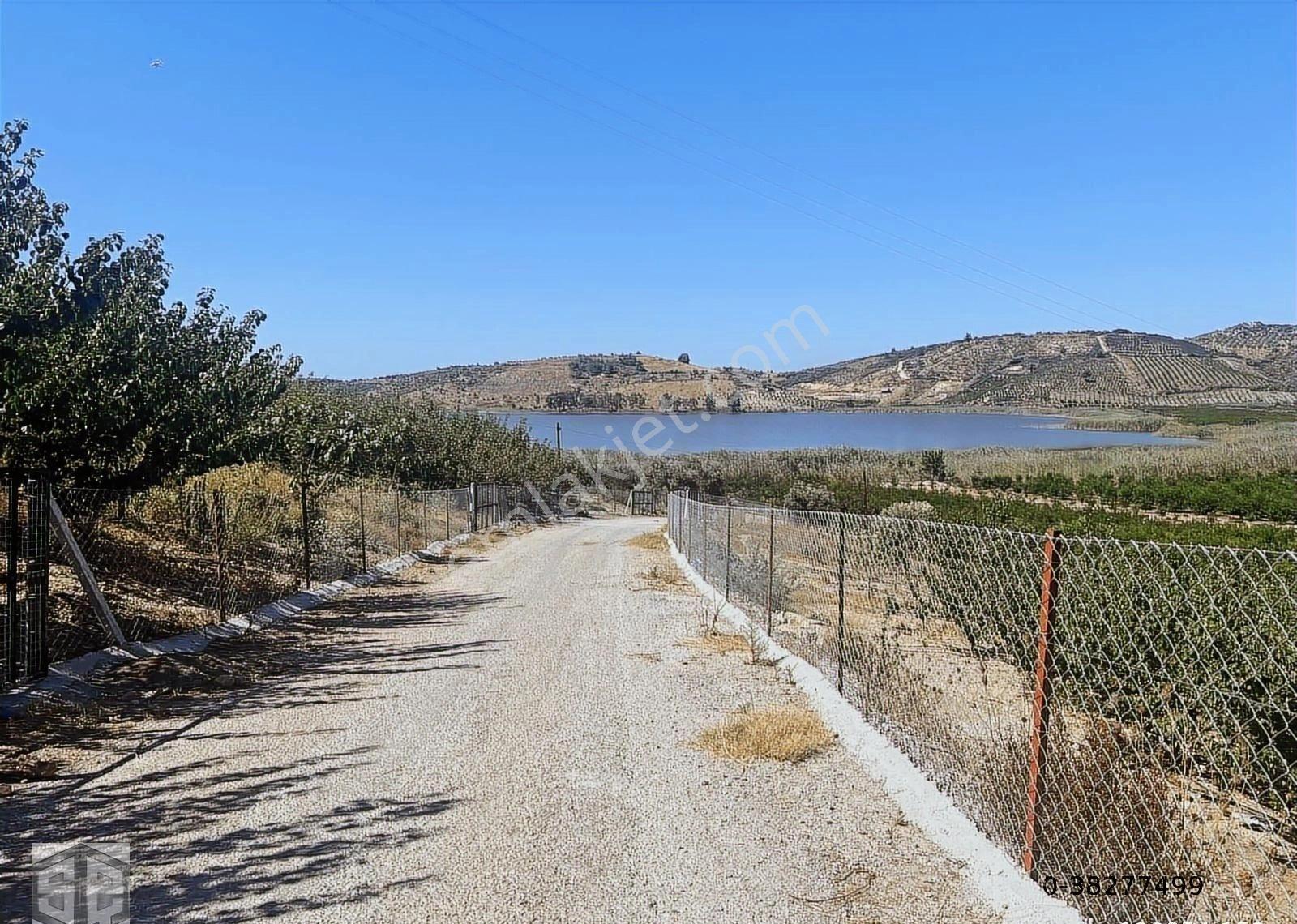 İzmir Selçuk İsabey Mh 12 000 M2 Nar Bahçesi