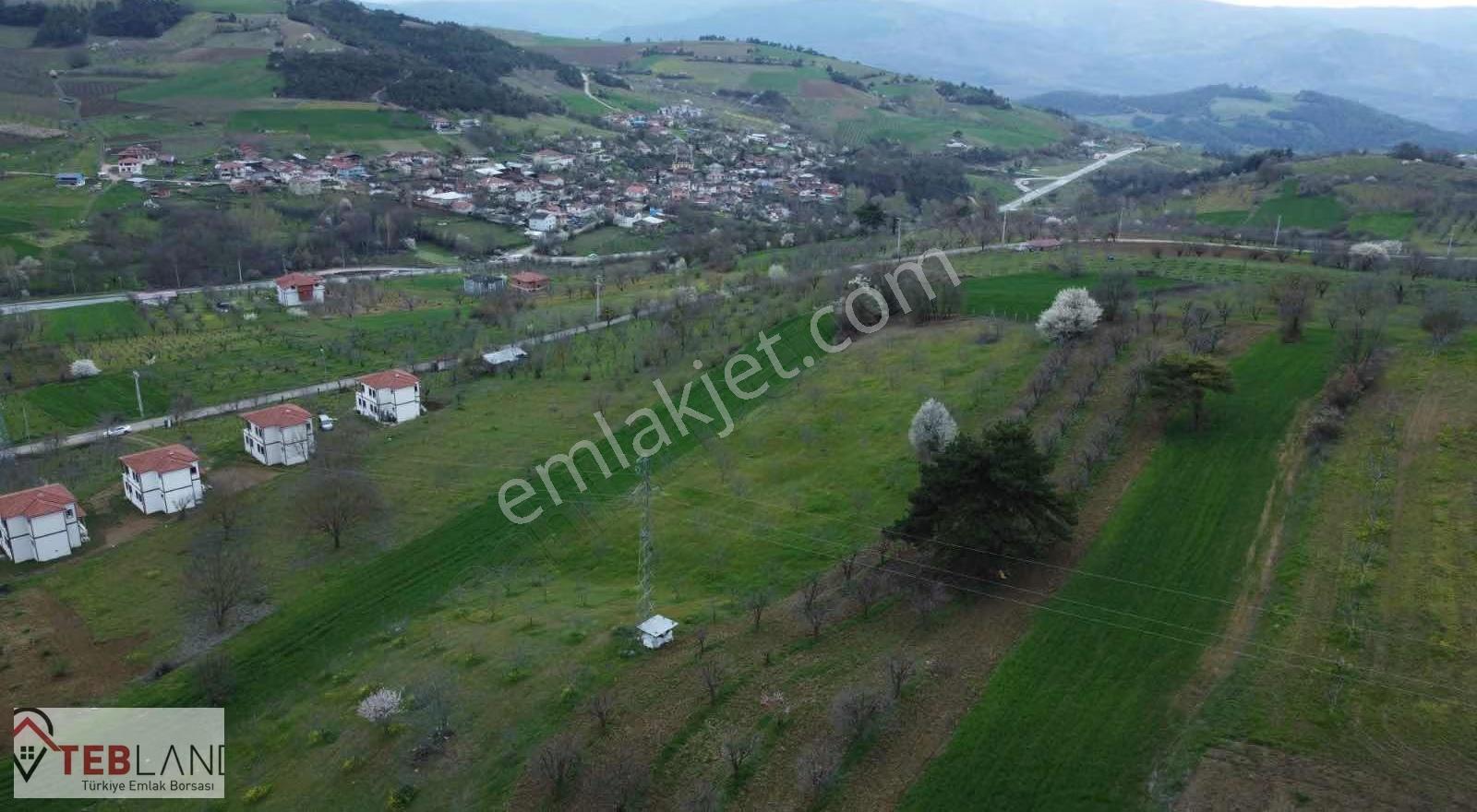 Sakarya Taraklı Hacıyaküplarda 4231 M2 Çeviz Bahcesi - Görsel 5
