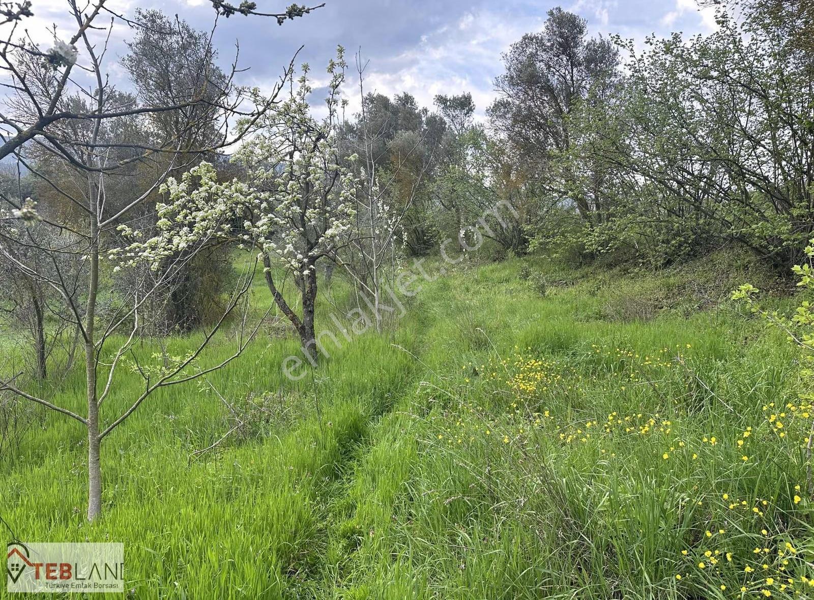 Geyve Epcelerde 4800m2 Arsa 2600m2 İmarlı - Görsel 8