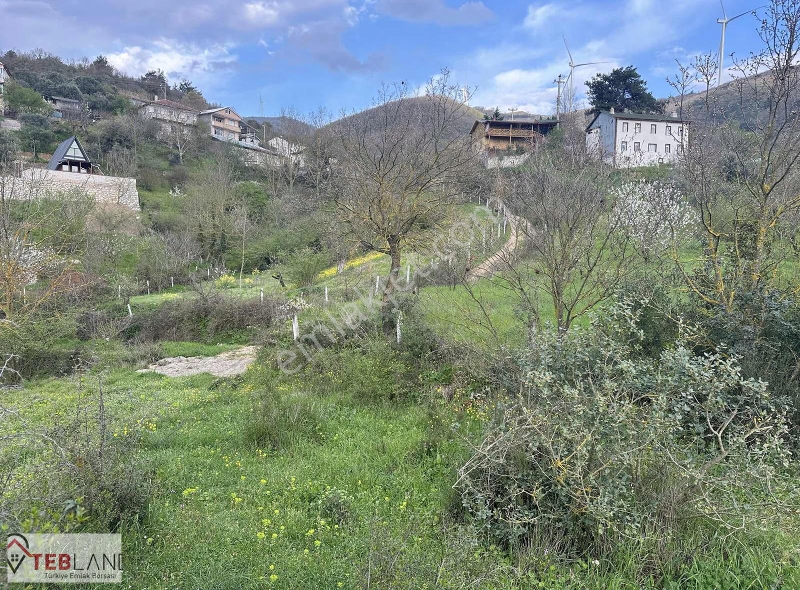 Geyve Epcelerde 4800m2 Arsa 2600m2 İmarlı - Görsel 11
