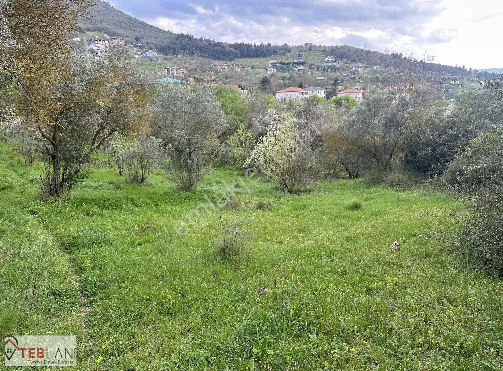 Geyve Epcelerde 4800m2 Arsa 2600m2 İmarlı - Görsel 5