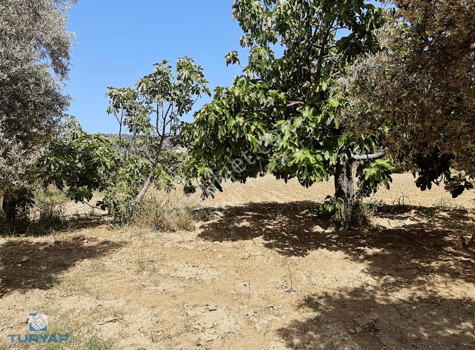 Torbalı Dirmil Mah 1732 M2 Tarla - Görsel 21