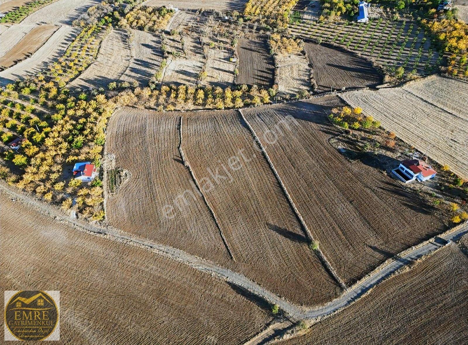 Yolçatı Malatya Yoluna Yakın İki Cephe Yol Elektriği Başında - Görsel 9