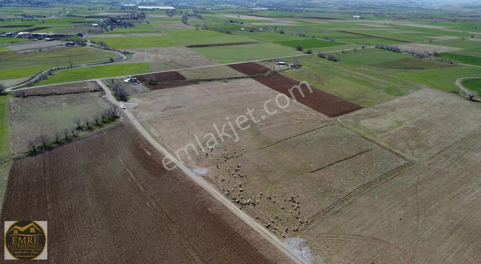 Emre Gm/den Gözebaşı (kinederiç) Te Yolu Elektriği Mevcut Tarla - Görsel 13