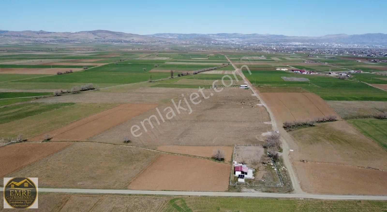 Emre Gm/den Gözebaşı (kinederiç) Te Yolu Elektriği Mevcut Tarla - Görsel 6