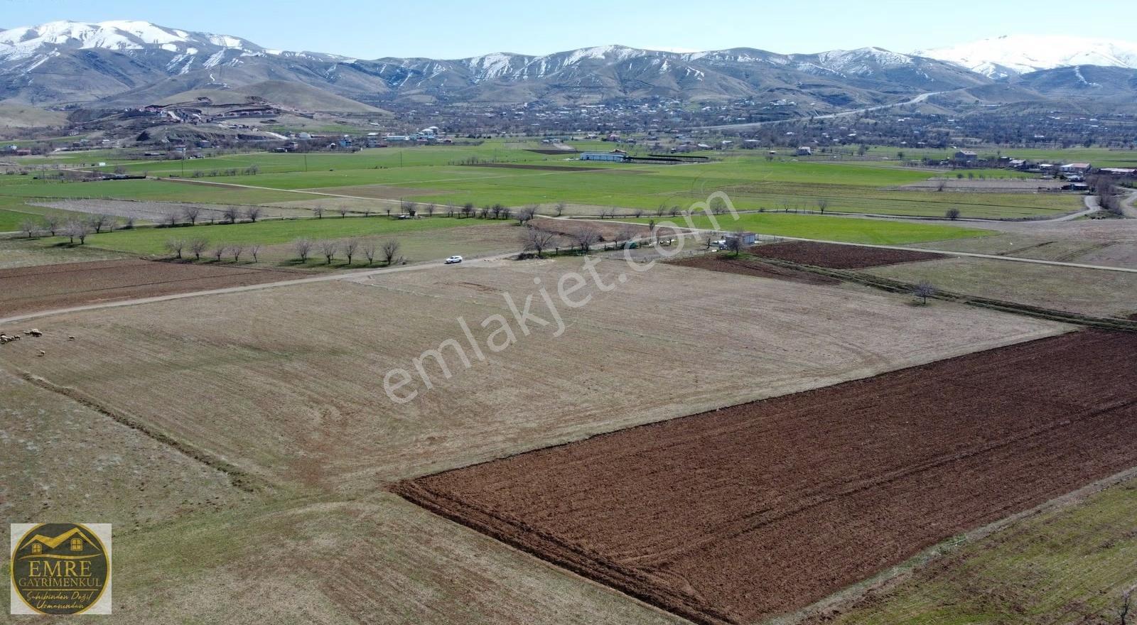Emre Gm/den Gözebaşı (kinederiç) Te Yolu Elektriği Mevcut Tarla - Görsel 12