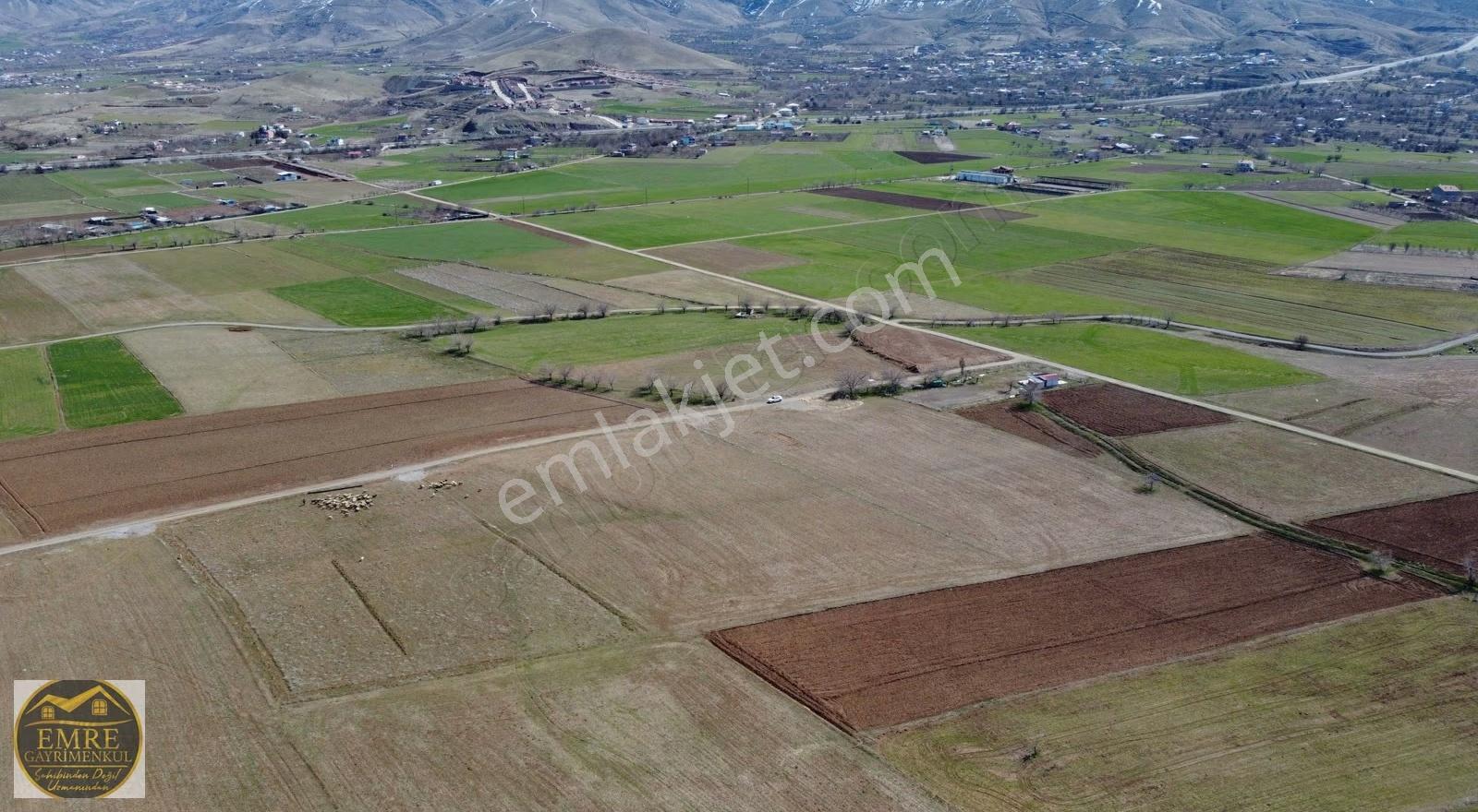 Emre Gm/den Gözebaşı (kinederiç) Te Yolu Elektriği Mevcut Tarla - Görsel 5