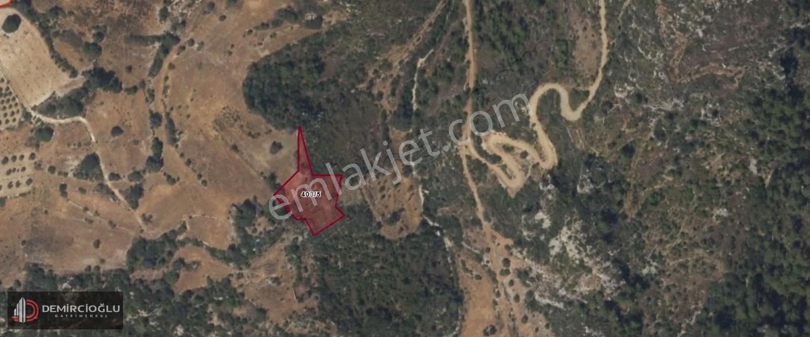 Muğla Menteşe Zeytinköy Yatırım Fırsaı Tarlamız Satılık - Görsel 2