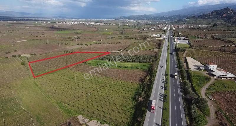 Ankara Asfaltına Çok Yakın Verimli 10156 M2 Satılık Üzüm Bağı - Görsel 8
