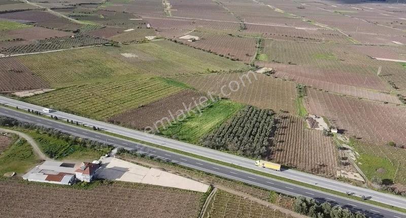 Ankara Asfaltına Çok Yakın Verimli 10156 M2 Satılık Üzüm Bağı - Görsel 5