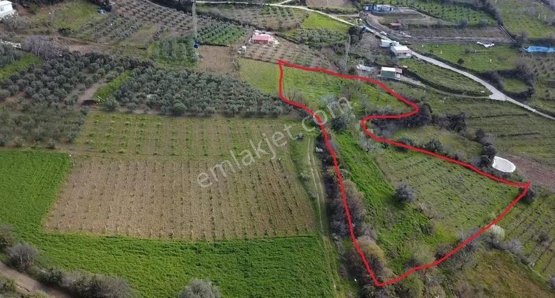 Satılık 6000 M² Zeytinlik Arazi - Karaağaç Girişi - Görsel 19