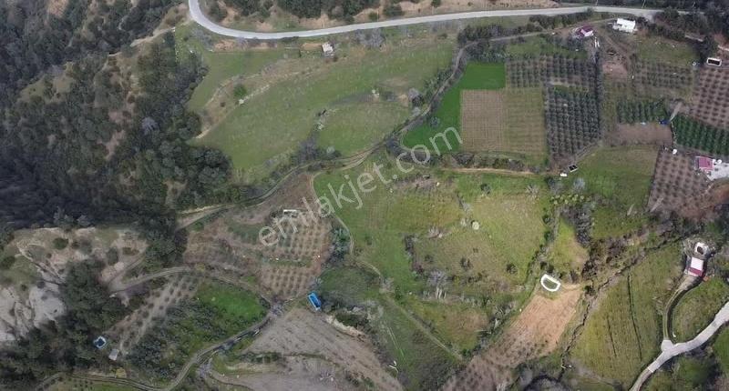 Satılık 6000 M² Zeytinlik Arazi - Karaağaç Girişi - Görsel 14