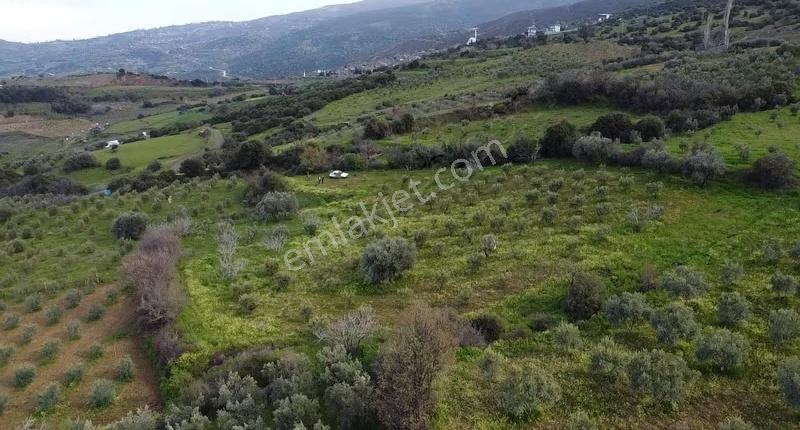 Karaağaç Mah. 4850 M2 Satılık Arazi - Görsel 14