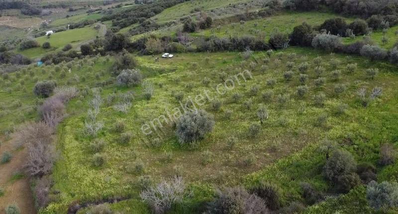 Karaağaç Mah. 4850 M2 Satılık Arazi - Görsel 13