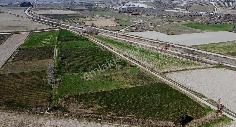 Taytan Yoluna 50 Metre Mesafede 5 Dönüm Satılık Tarla - Görsel 17