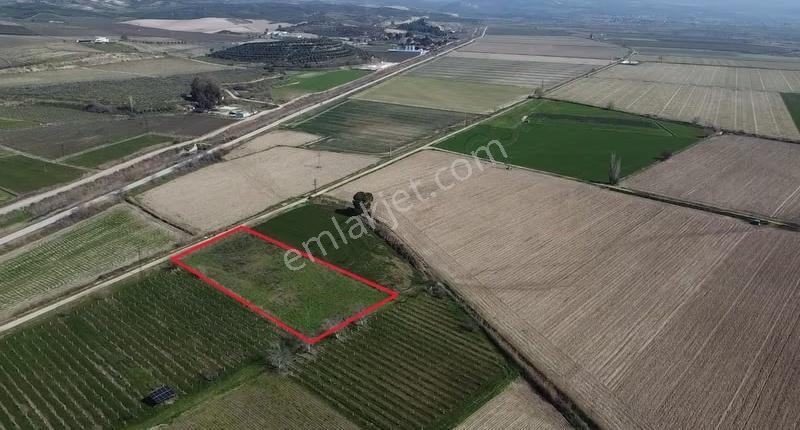 Taytan Yoluna 50 Metre Mesafede 5 Dönüm Satılık Tarla - Görsel 2