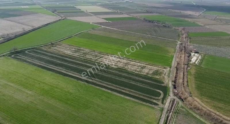 Çökelek Mahallesi'nde 13.525 M2 Satılık Tarla - Görsel 3