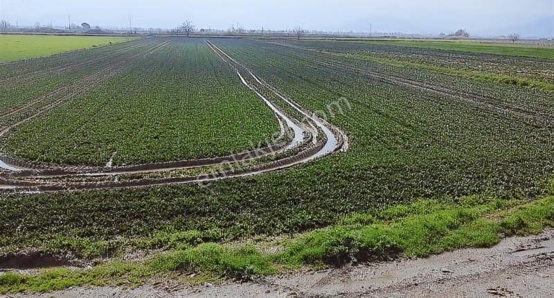 Çökelek Mahallesi'nde 13.525 M2 Satılık Tarla - Görsel 7