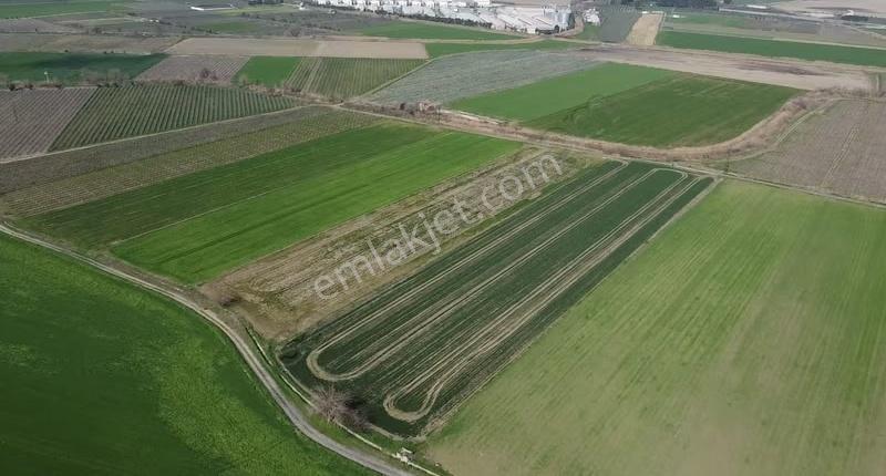 Çökelek Mahallesi'nde 13.525 M2 Satılık Tarla - Görsel 8