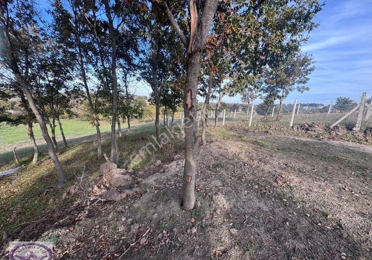 Tekirdağ Saray Büyükyoncalı 250m2 Arsa - Görsel 9