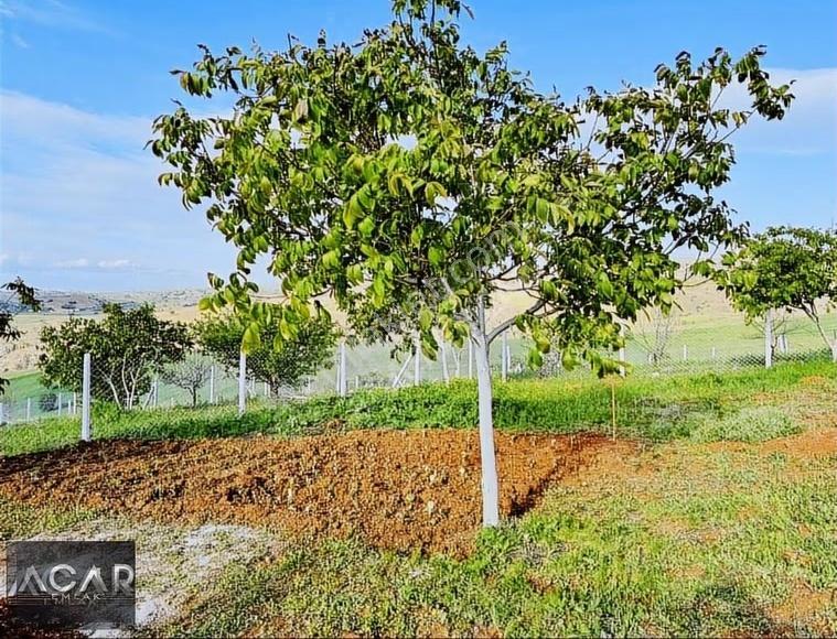 Akyurt'ta , E-devletli, 250 M2, Ceviz Ağaçlı, Sulu , Kameralı - Görsel 8