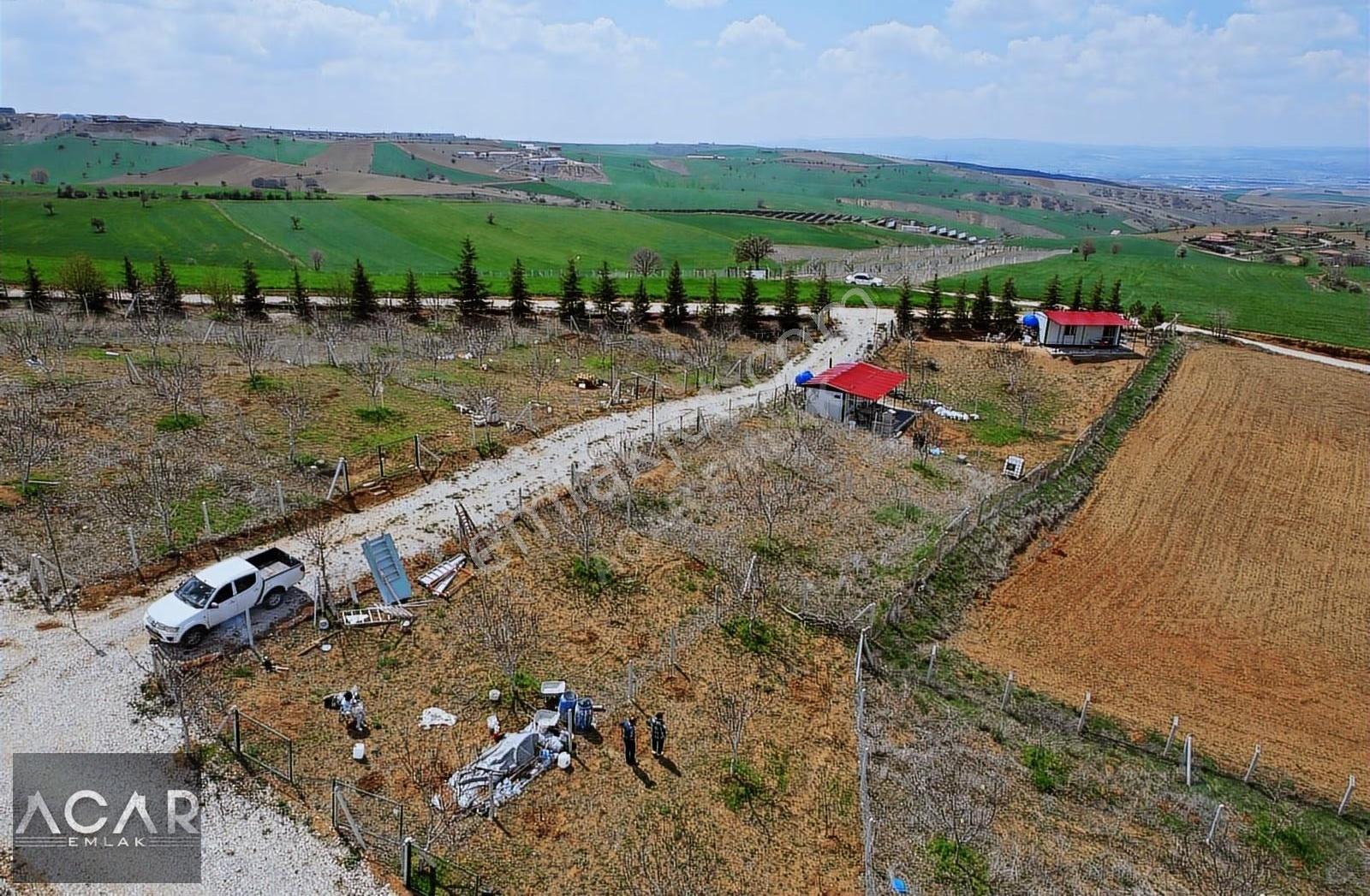 Akyurt'ta , E-devletli, 250 M2, Ceviz Ağaçlı, Sulu , Kameralı - Görsel 9